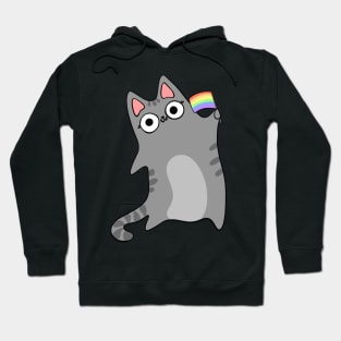 Pride Flag Gray Tabby Cat Pride Month Celebration Rainbow Flag Hoodie